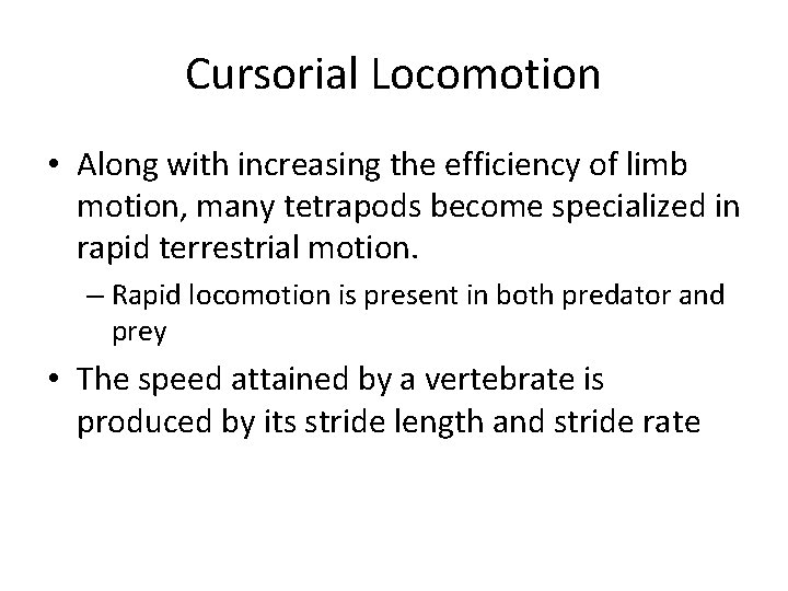 Cursorial Locomotion • Along with increasing the efficiency of limb motion, many tetrapods become