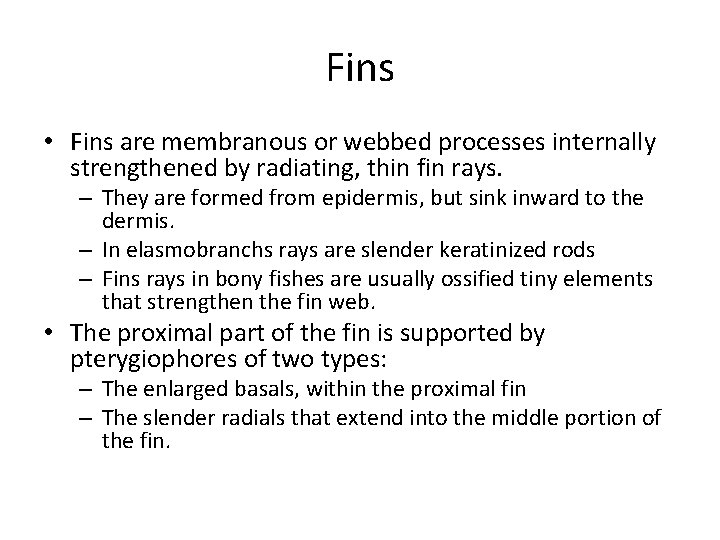 Fins • Fins are membranous or webbed processes internally strengthened by radiating, thin fin