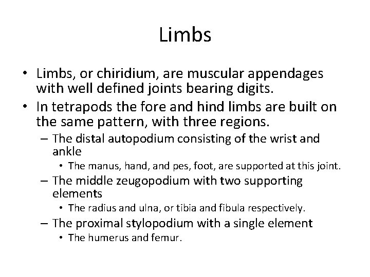 Limbs • Limbs, or chiridium, are muscular appendages with well defined joints bearing digits.