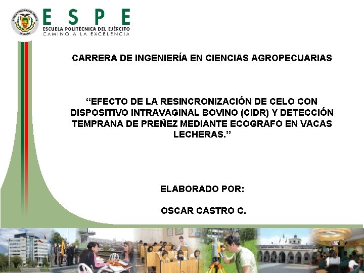 CARRERA DE INGENIERÍA EN CIENCIAS AGROPECUARIAS “EFECTO DE LA RESINCRONIZACIÓN DE CELO CON DISPOSITIVO