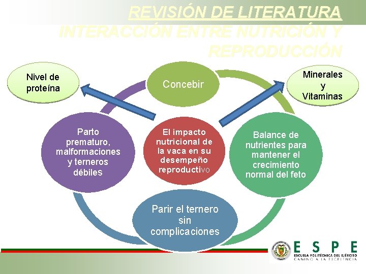 REVISIÓN DE LITERATURA INTERACCIÓN ENTRE NUTRICIÓN Y REPRODUCCIÓN Nivel de proteína Parto prematuro, malformaciones