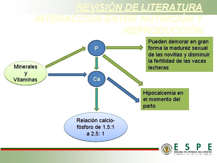 REVISIÓN DE LITERATURA INTERACCIÓN ENTRE NUTRICIÓN Y REPRODUCCIÓN P Minerales y Vitaminas Pueden demorar