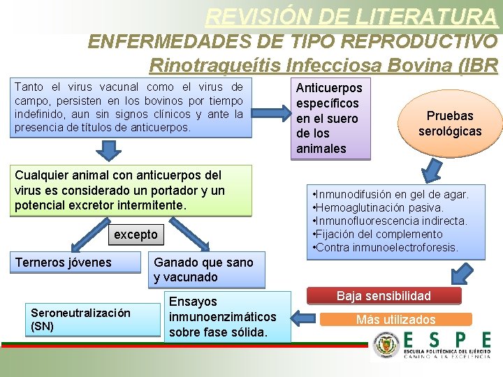 REVISIÓN DE LITERATURA ENFERMEDADES DE TIPO REPRODUCTIVO Rinotraqueítis Infecciosa Bovina (IBR Tanto el virus