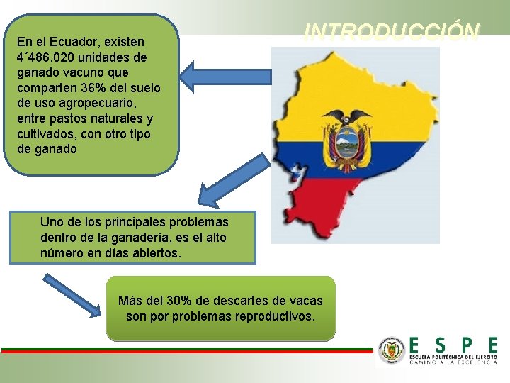 En el Ecuador, existen 4´ 486. 020 unidades de ganado vacuno que comparten 36%