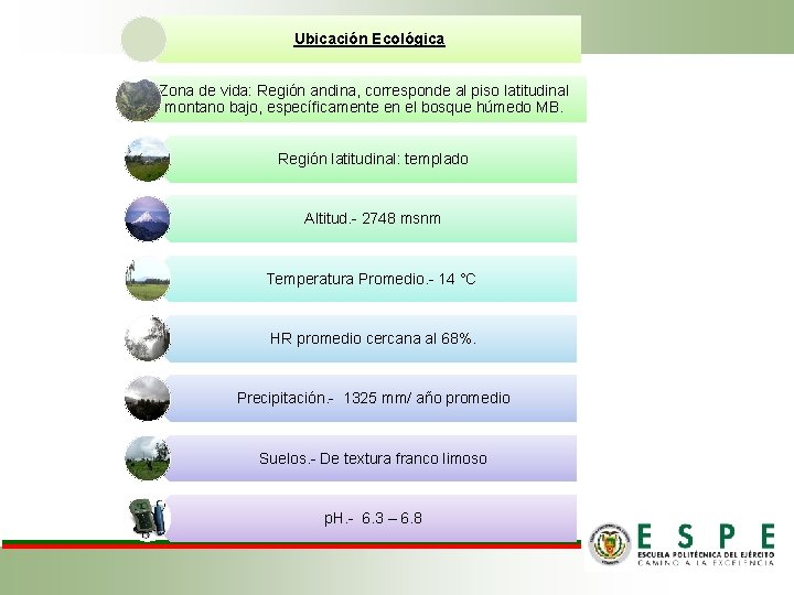 Ubicación Ecológica Zona de vida: Región andina, corresponde al piso latitudinal montano bajo, específicamente