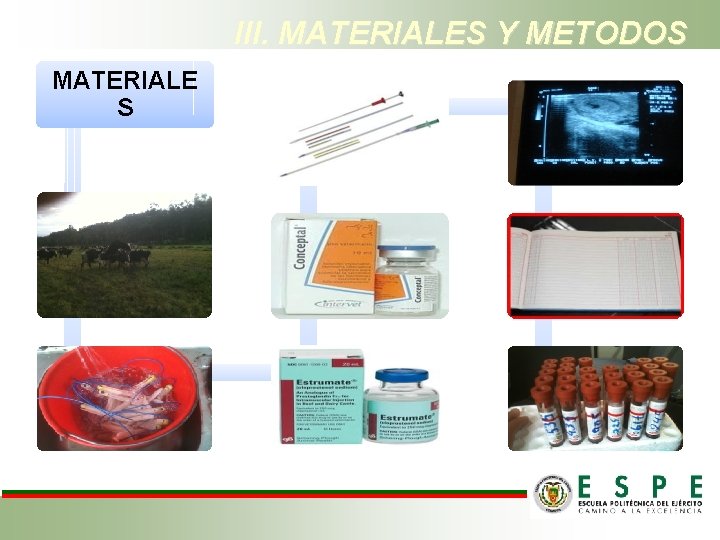 III. MATERIALES Y METODOS MATERIALE S 