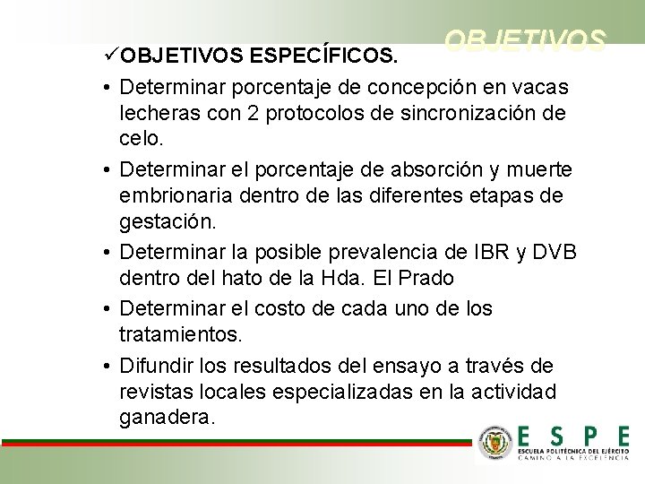 OBJETIVOS üOBJETIVOS ESPECÍFICOS. • Determinar porcentaje de concepción en vacas lecheras con 2 protocolos