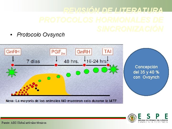 REVISIÓN DE LITERATURA PROTOCOLOS HORMONALES DE SINCRONIZACIÓN • Protocolo Ovsynch Concepción del 35 y