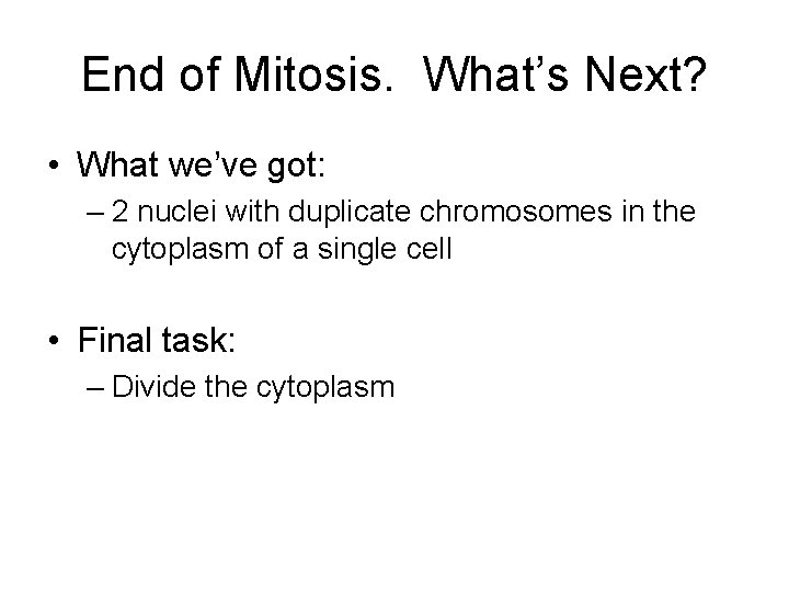 End of Mitosis. What’s Next? • What we’ve got: – 2 nuclei with duplicate
