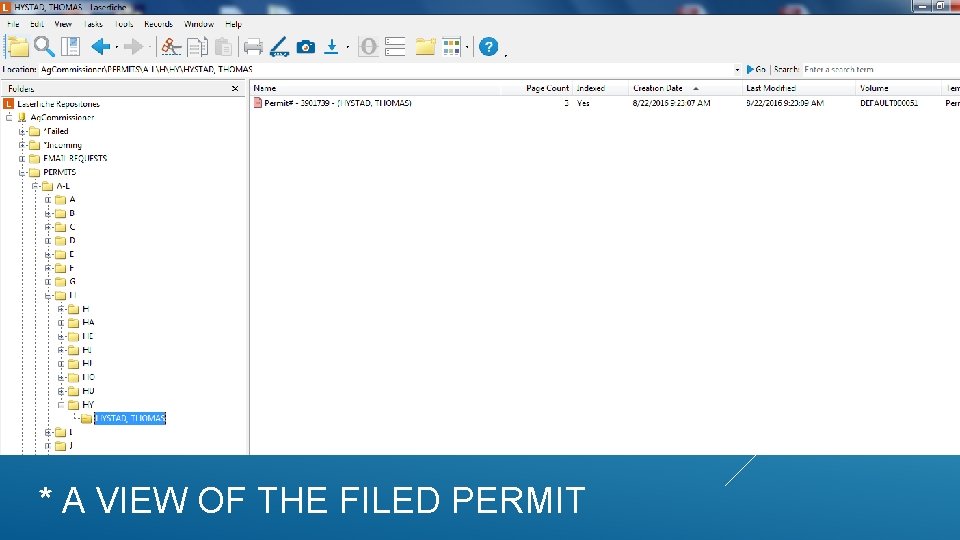 * A VIEW OF THE FILED PERMIT 