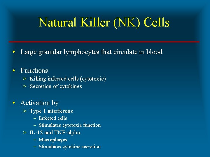 Natural Killer (NK) Cells • Large granular lymphocytes that circulate in blood • Functions