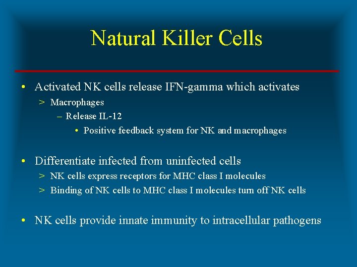 Natural Killer Cells • Activated NK cells release IFN-gamma which activates > Macrophages –