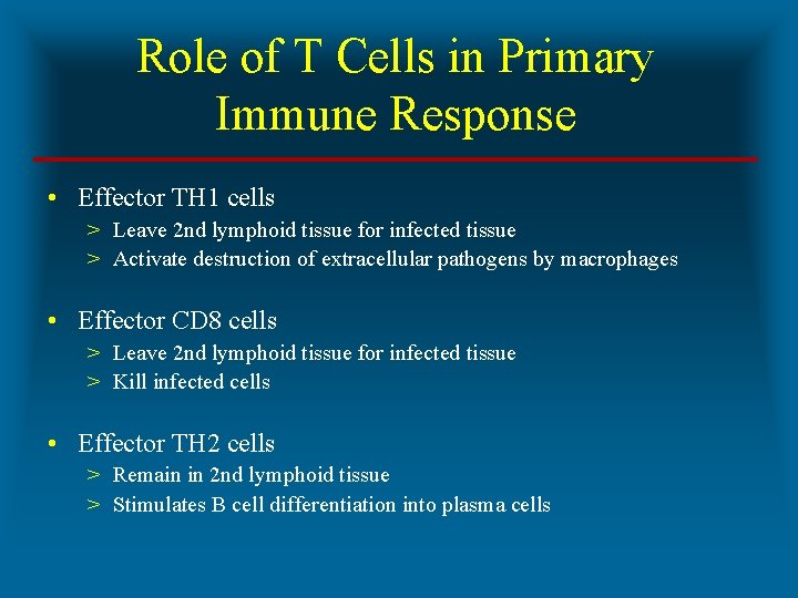 Role of T Cells in Primary Immune Response • Effector TH 1 cells >