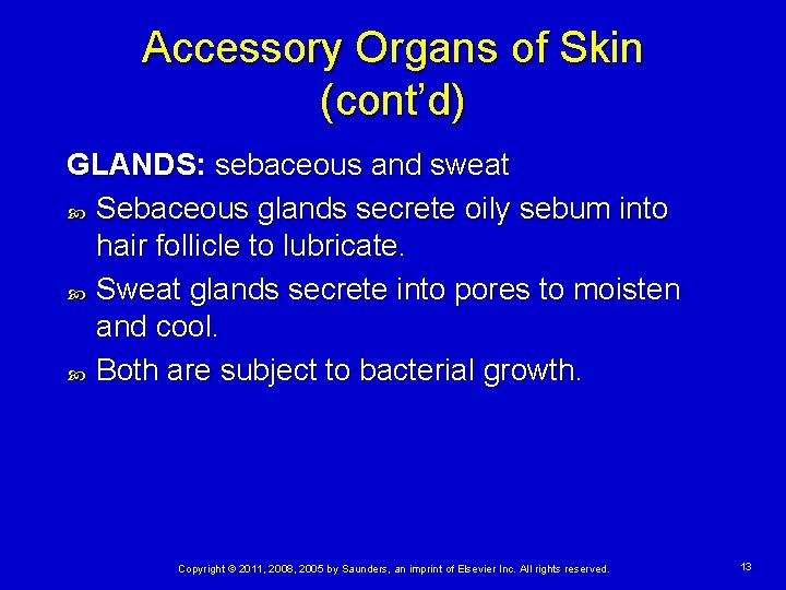Accessory Organs of Skin (cont’d) GLANDS: sebaceous and sweat Sebaceous glands secrete oily sebum