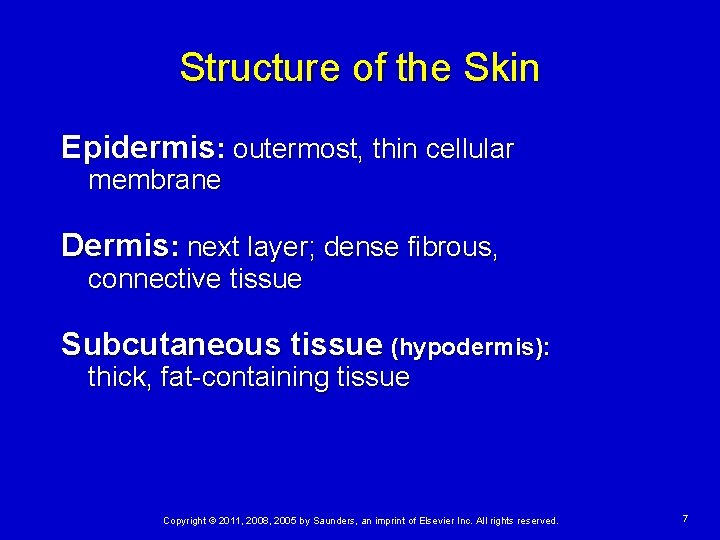 Structure of the Skin Epidermis: outermost, thin cellular membrane Dermis: next layer; dense fibrous,