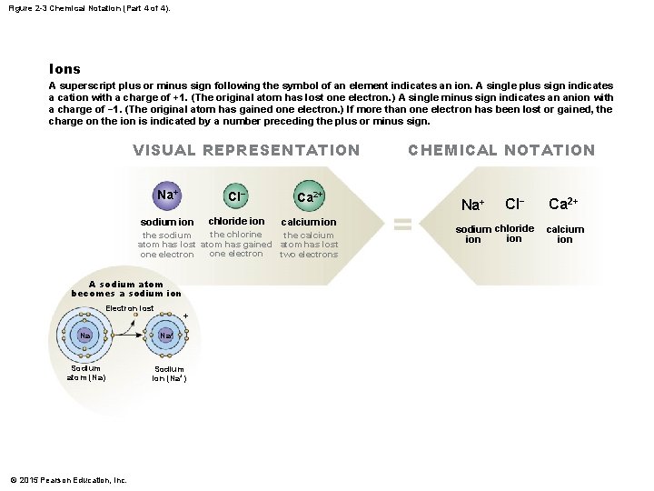 Figure 2 -3 Chemical Notation (Part 4 of 4). Ions A superscript plus or