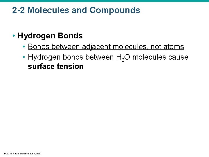 2 -2 Molecules and Compounds • Hydrogen Bonds • Bonds between adjacent molecules, not