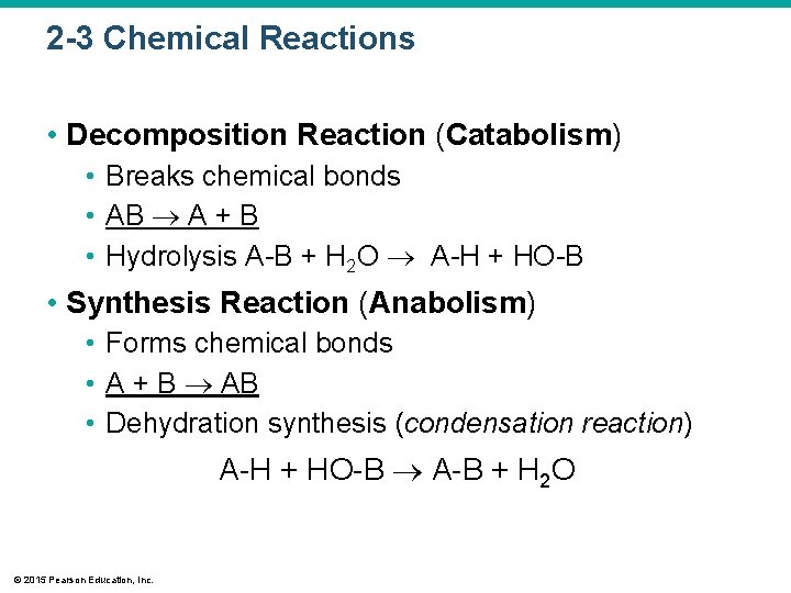 2 -3 Chemical Reactions • Decomposition Reaction (Catabolism) • Breaks chemical bonds • AB