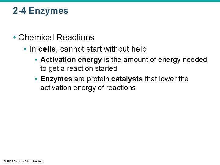 2 -4 Enzymes • Chemical Reactions • In cells, cannot start without help •