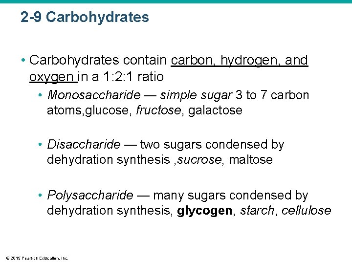 2 -9 Carbohydrates • Carbohydrates contain carbon, hydrogen, and oxygen in a 1: 2: