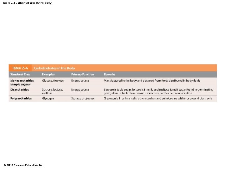 Table 2 -4 Carbohydrates in the Body. © 2015 Pearson Education, Inc. 