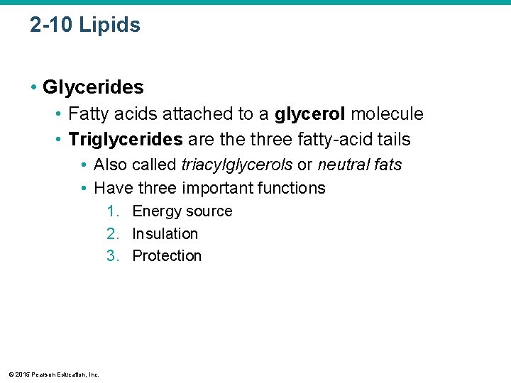 2 -10 Lipids • Glycerides • Fatty acids attached to a glycerol molecule •