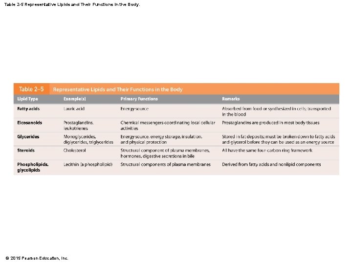 Table 2 -5 Representative Lipids and Their Functions in the Body. © 2015 Pearson