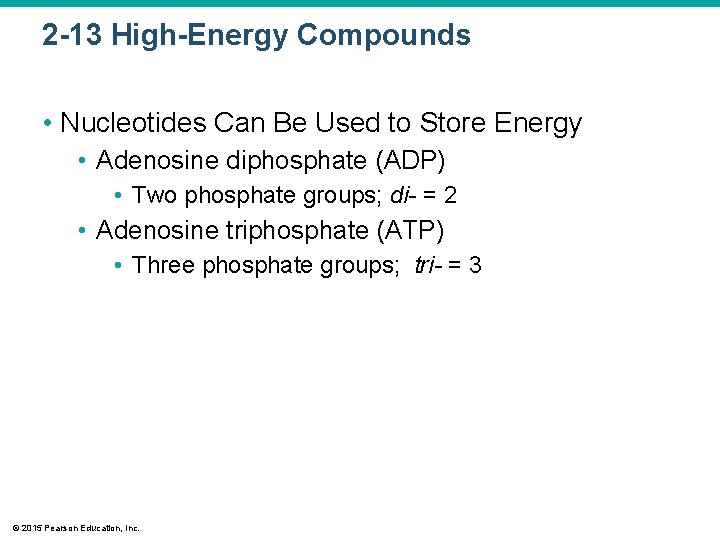 2 -13 High-Energy Compounds • Nucleotides Can Be Used to Store Energy • Adenosine