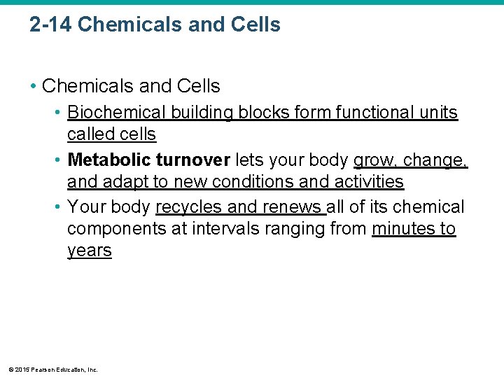 2 -14 Chemicals and Cells • Biochemical building blocks form functional units called cells