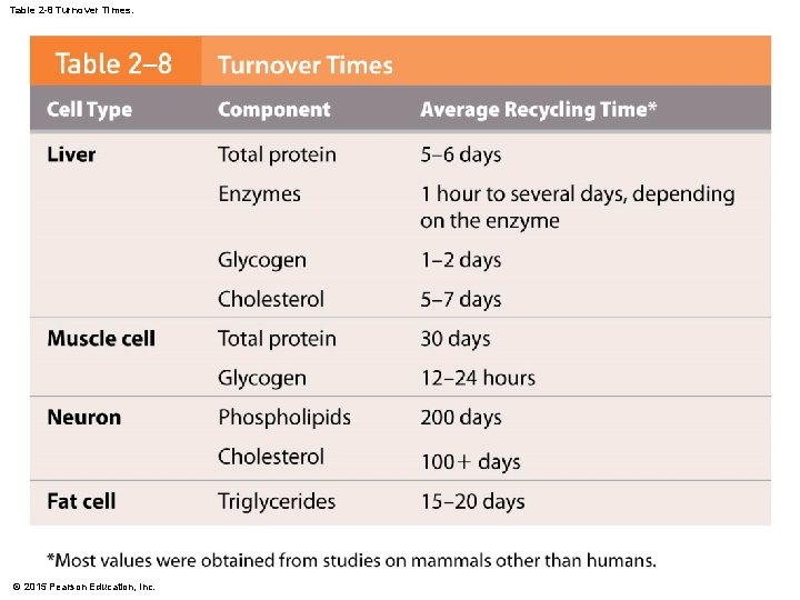 Table 2 -8 Turnover Times. © 2015 Pearson Education, Inc. 