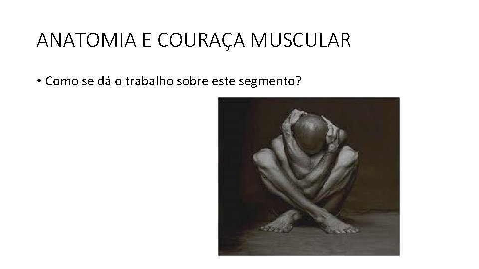 ANATOMIA E COURAÇA MUSCULAR • Como se dá o trabalho sobre este segmento? ANATOMIA E COURAÇA MUSCULAR • Como se dá o trabalho sobre este segmento?