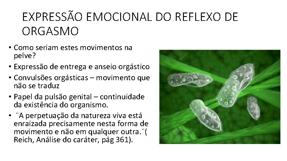 EXPRESSÃO EMOCIONAL DO REFLEXO DE ORGASMO • Como seriam estes movimentos na pelve? • EXPRESSÃO EMOCIONAL DO REFLEXO DE ORGASMO • Como seriam estes movimentos na pelve? •