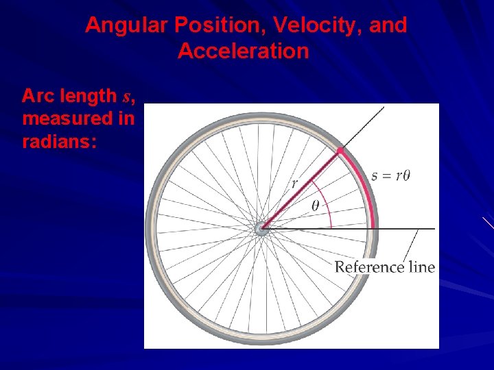 Angular Position, Velocity, and Acceleration Arc length s, measured in radians: 
