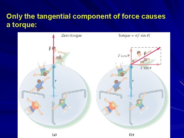 Only the tangential component of force causes a torque: 