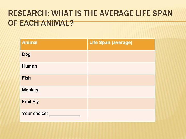 RESEARCH: WHAT IS THE AVERAGE LIFE SPAN OF EACH ANIMAL? Animal Dog Human Fish