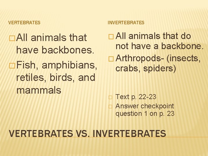 VERTEBRATES INVERTEBRATES � All animals that have backbones. � Fish, amphibians, retiles, birds, and