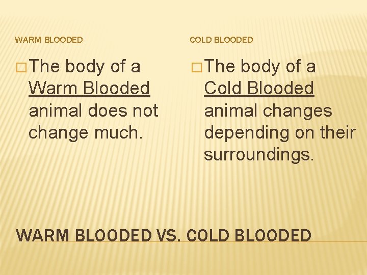 WARM BLOODED COLD BLOODED � The body of a Warm Blooded animal does not