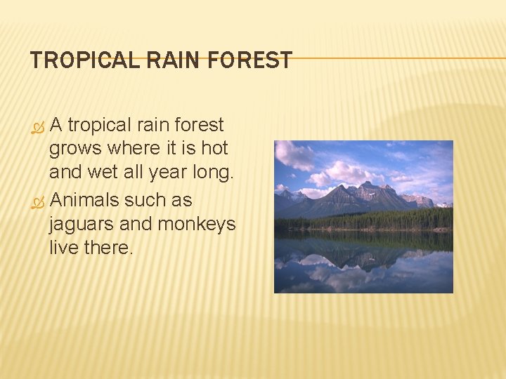 TROPICAL RAIN FOREST A tropical rain forest grows where it is hot and wet