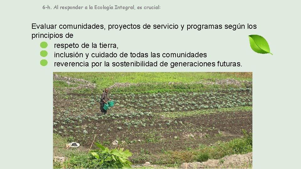 6 -h. Al responder a la Ecología Integral, es crucial: Evaluar comunidades, proyectos de