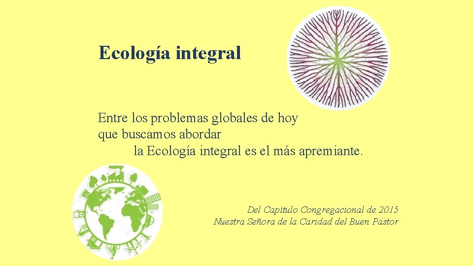 Ecología integral Entre los problemas globales de hoy que buscamos abordar la Ecología integral