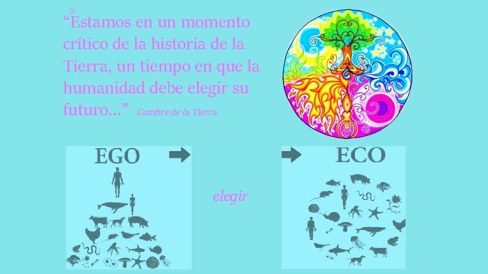 3. “Estamos en un momento crítico de la historia de la Tierra, un tiempo