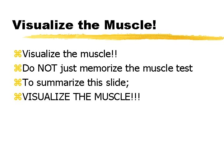 Visualize the Muscle! z. Visualize the muscle!! z. Do NOT just memorize the muscle