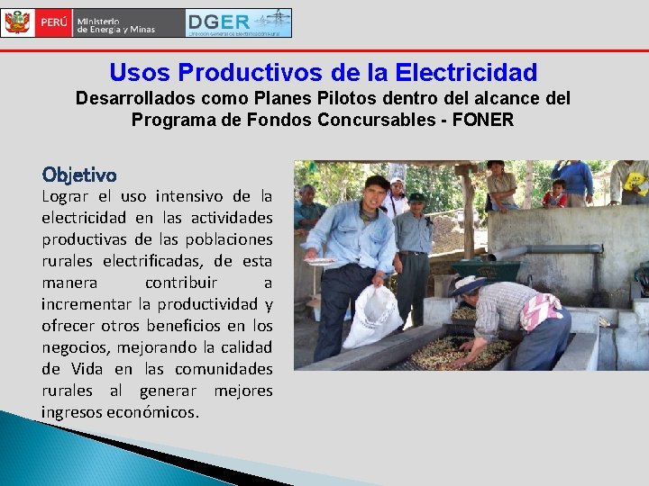 Usos Productivos de la Electricidad Desarrollados como Planes Pilotos dentro del alcance del Programa