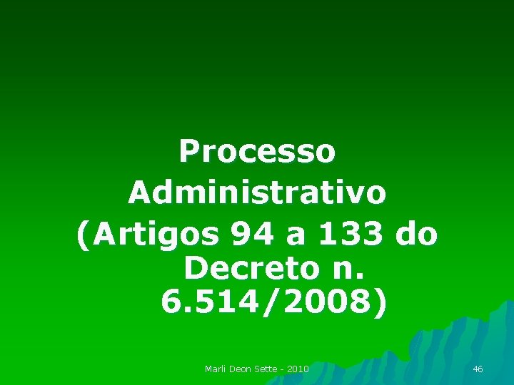 Processo Administrativo (Artigos 94 a 133 do Decreto n. 6. 514/2008) Marli Deon Sette