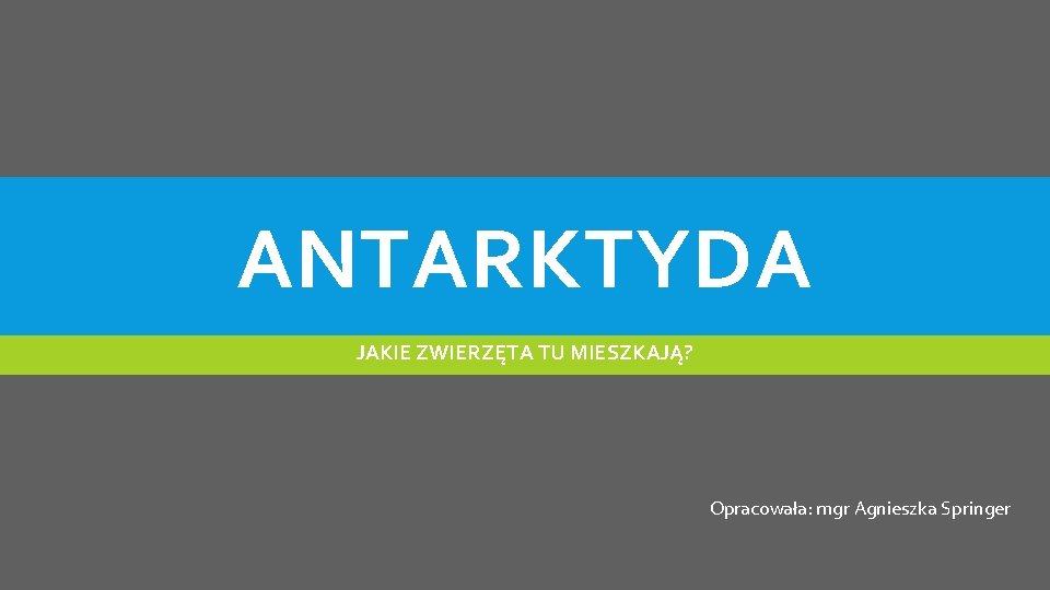 ANTARKTYDA JAKIE ZWIERZĘTA TU MIESZKAJĄ? Opracowała: mgr Agnieszka Springer 