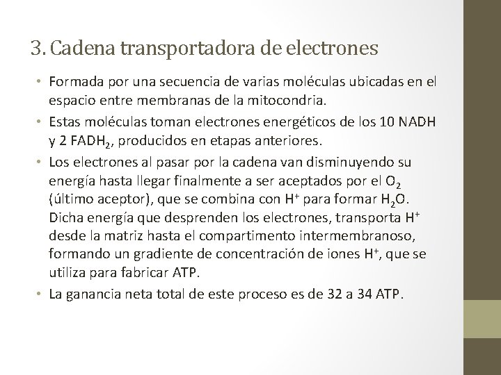 3. Cadena transportadora de electrones • Formada por una secuencia de varias moléculas ubicadas