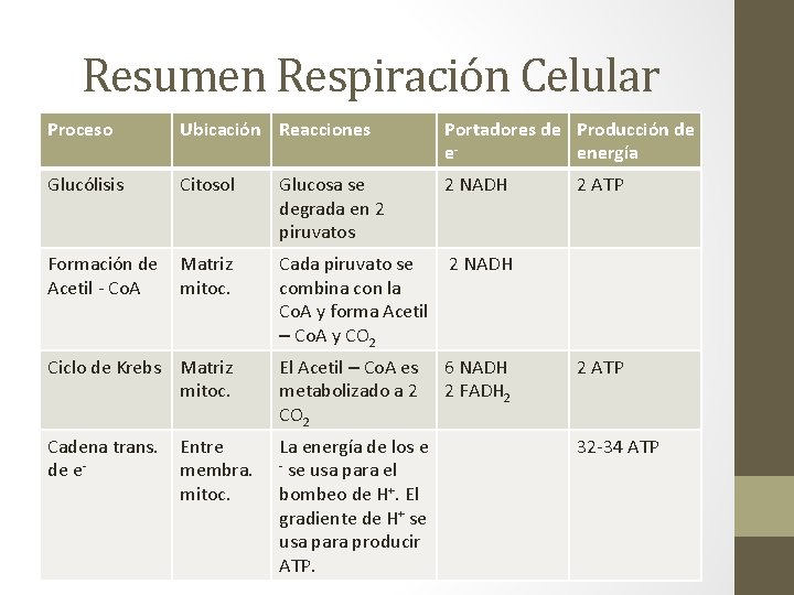 Resumen Respiración Celular Proceso Ubicación Reacciones Portadores de Producción de eenergía Glucólisis Citosol Glucosa