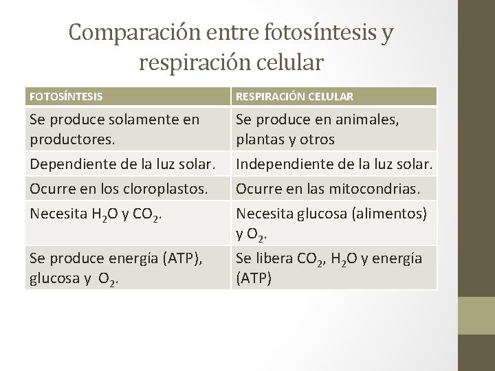 Comparación entre fotosíntesis y respiración celular FOTOSÍNTESIS RESPIRACIÓN CELULAR Se produce solamente en productores.