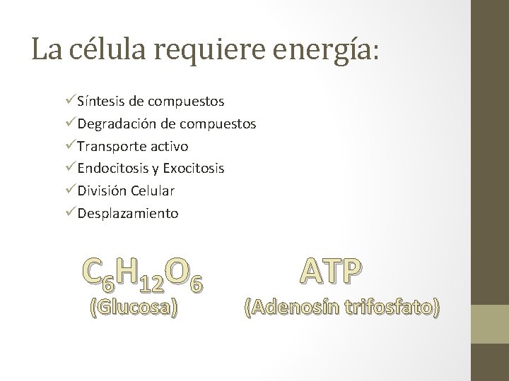 La célula requiere energía: üSíntesis de compuestos üDegradación de compuestos üTransporte activo üEndocitosis y