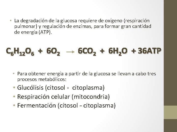  • La degradación de la glucosa requiere de oxígeno (respiración pulmonar) y regulación